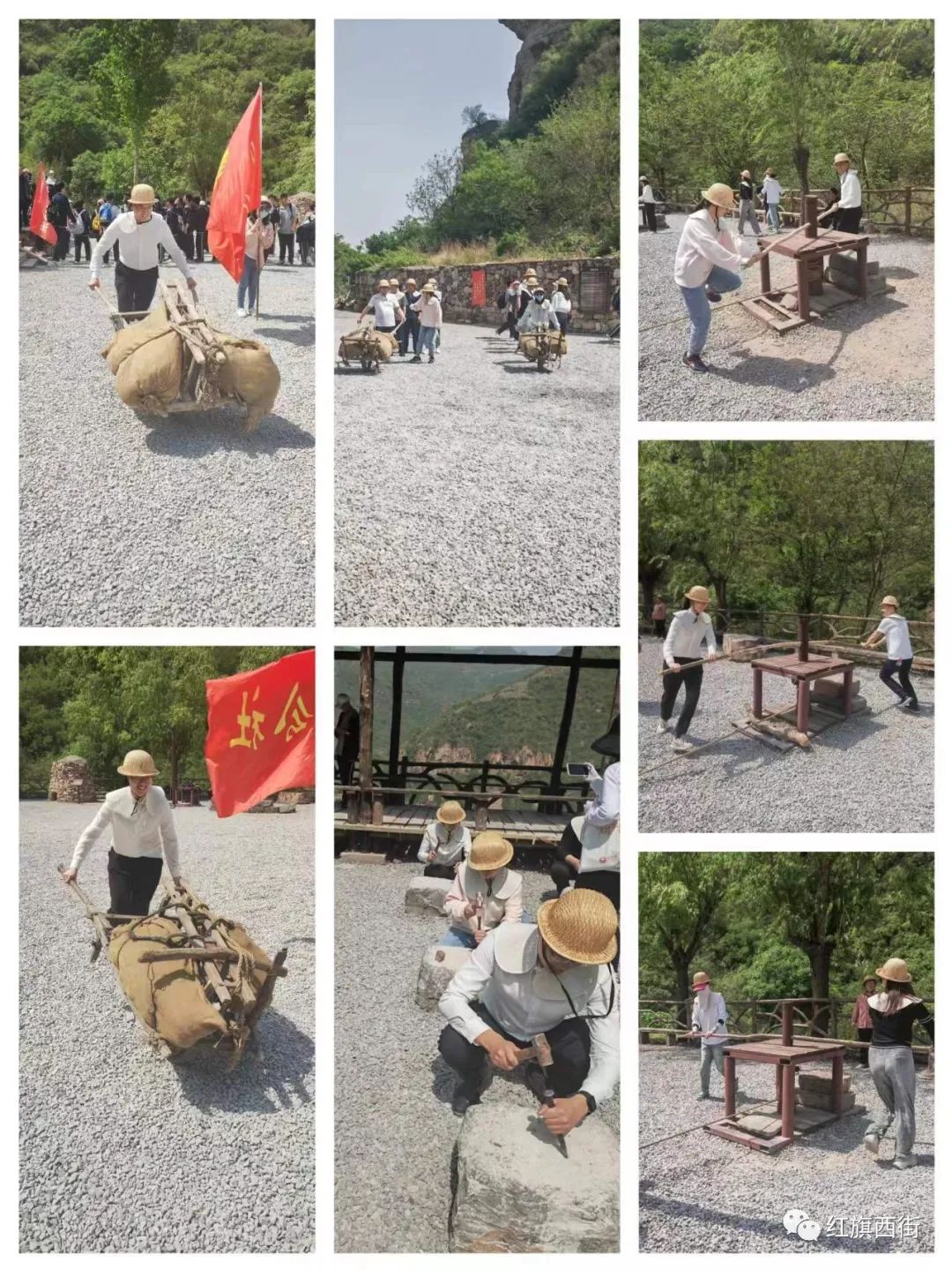圖片5