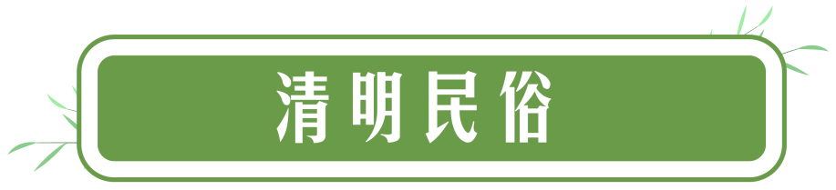 圖片5